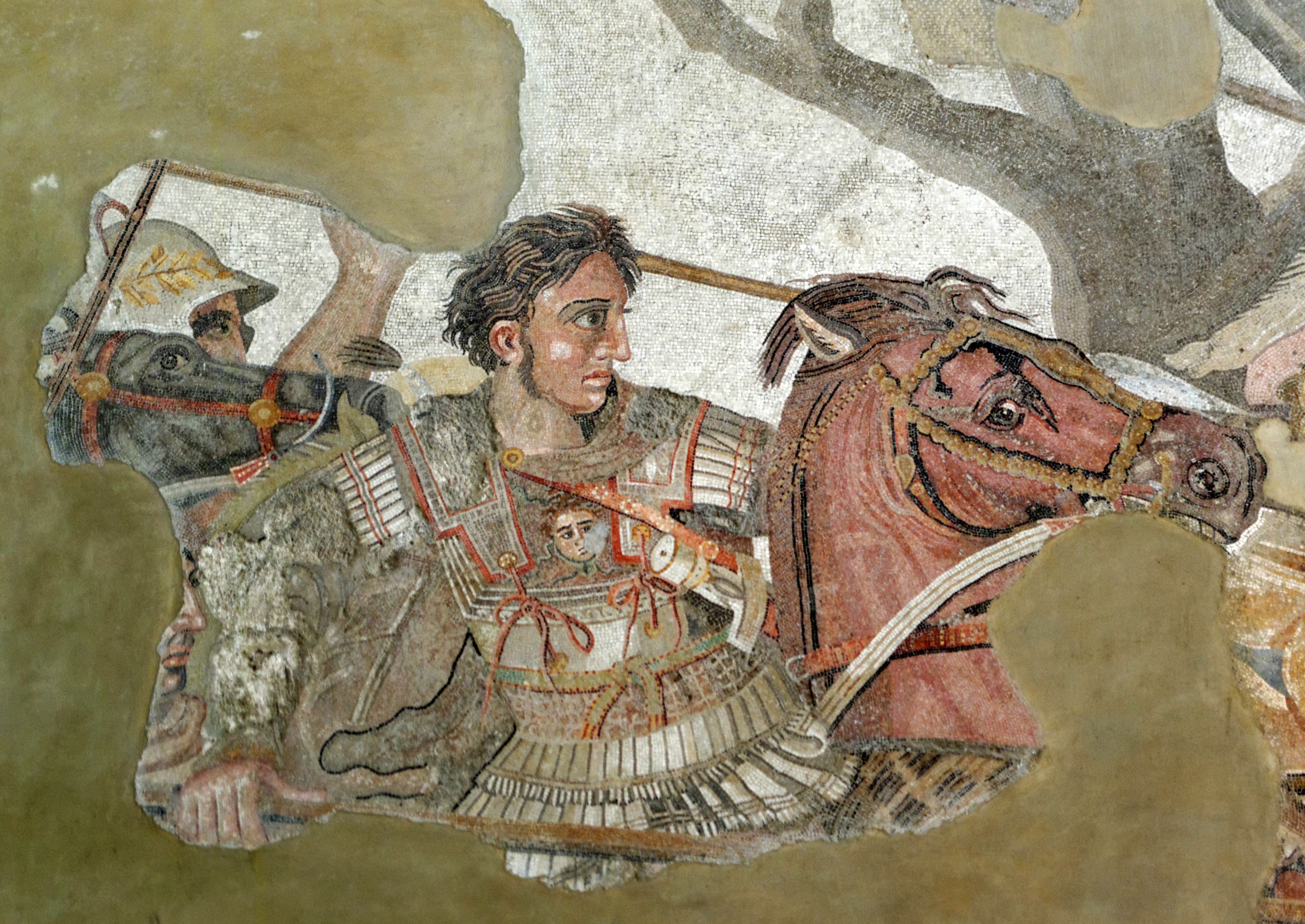course_image