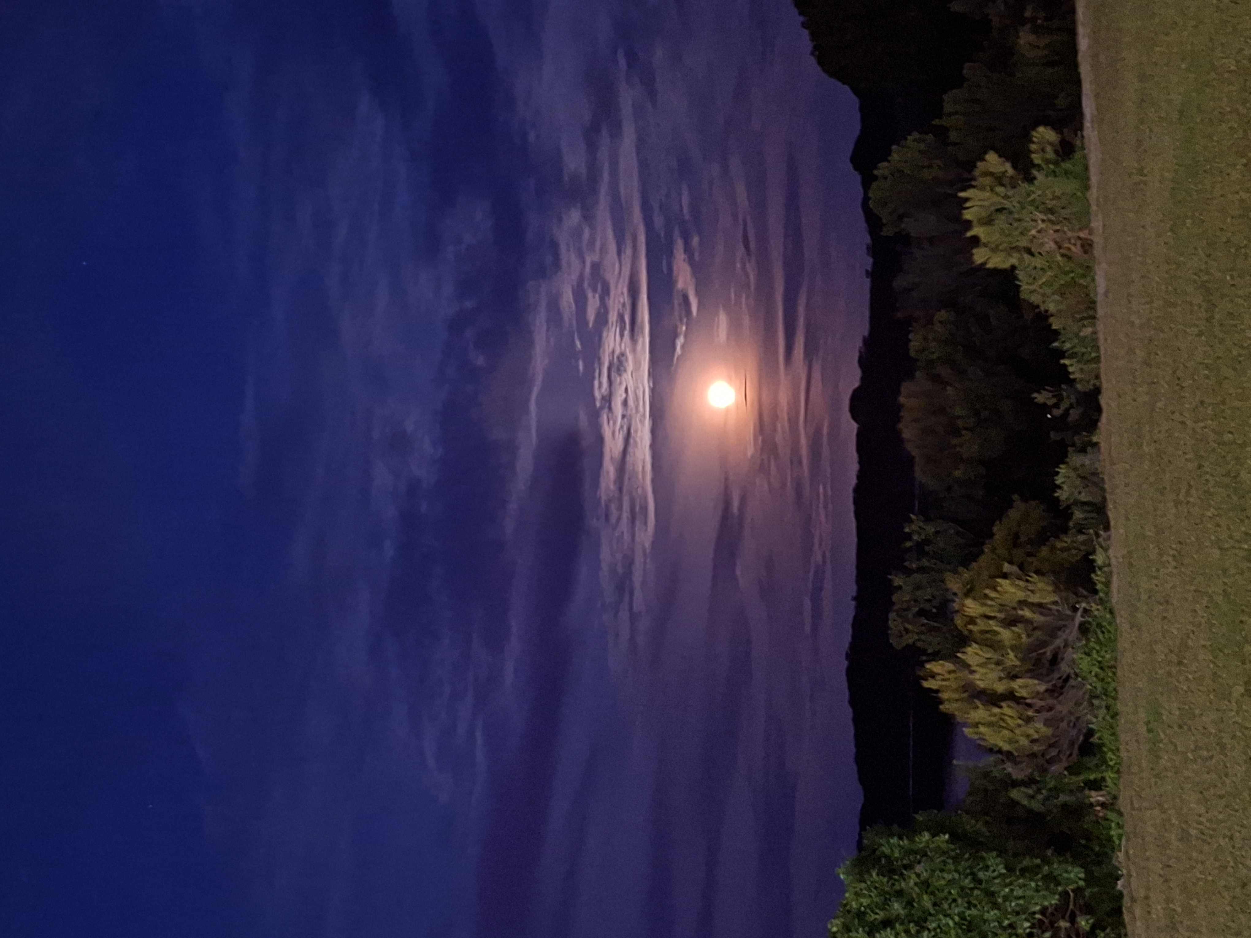 course_image
